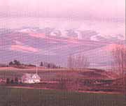Blue Mountains as seen from the Walla Walla Valley near College Place, WA