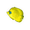 fishy1.gif (10428 bytes)