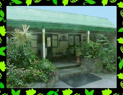 Caribbean villa for rent on Montserrat in the West Indies