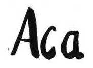 Isechci - Aca - Flash verzija