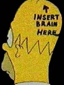 homerbrain.jpg (7321 bytes)