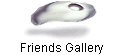 Friends Gallery