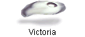 Victoria