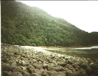 Hook Island