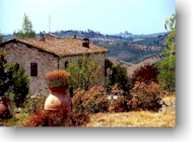 One of many typical views from Chianti region