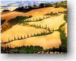 tuscany_sm.jpg (4910 bytes)