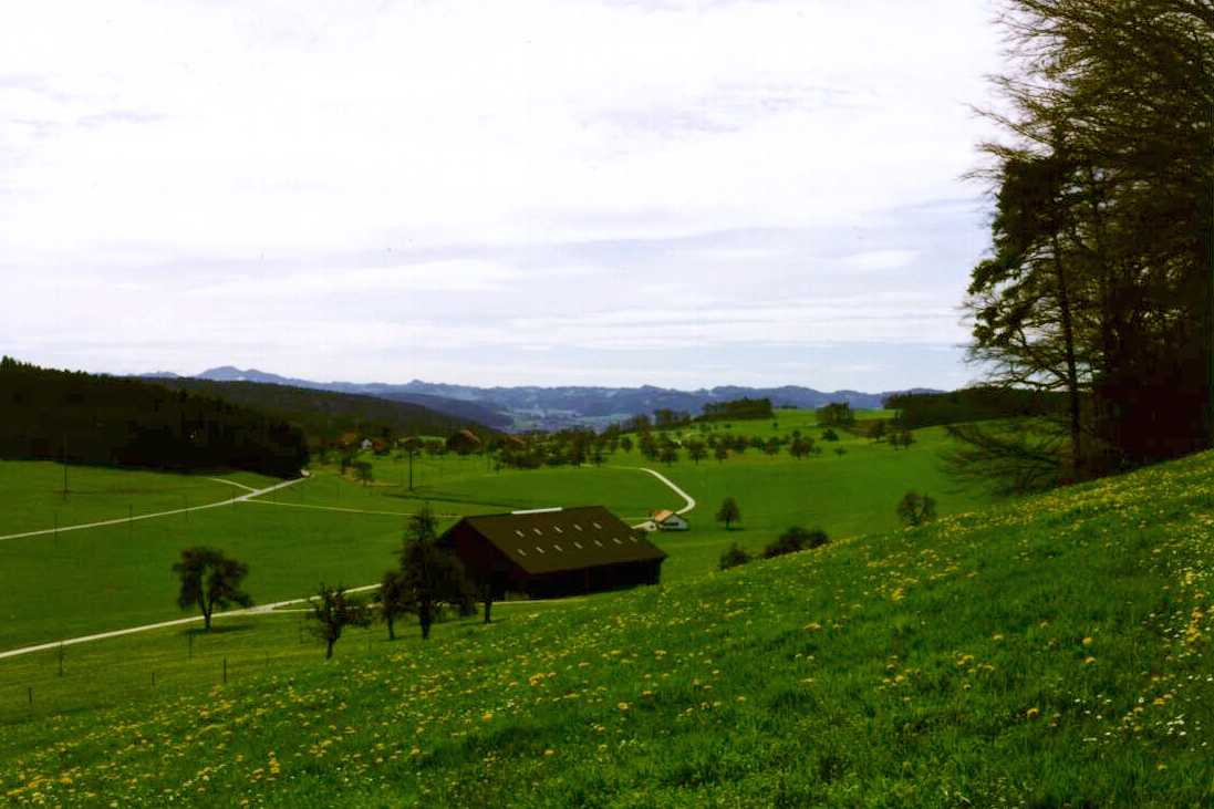 Westansicht