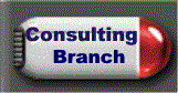 Internet Consulting