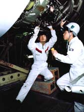 jal-seibi1.jpg