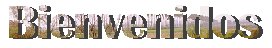 Bienvenidos
