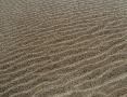 Pacific Coast Sand