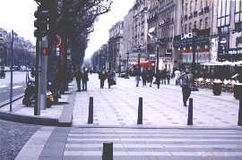 chamelys.jpg (9500 bytes)