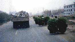 loading.jpg (5926 bytes)