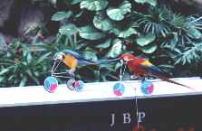 riding.jpg (6045 bytes)