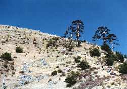 cryslope.jpg (9137 bytes)