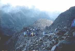 jadedown.jpg (6999 bytes)