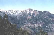 mutulubu.jpg (4584 bytes)