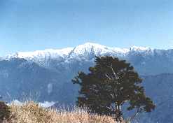 southlake.JPG (5126 bytes)