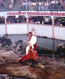 crocodile.JPG (12468 bytes)