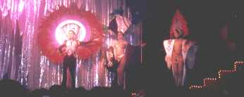 show3.jpg (5843 bytes)