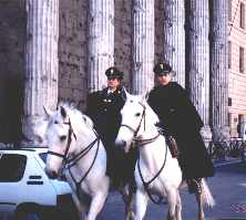 cop.JPG (8562 bytes)