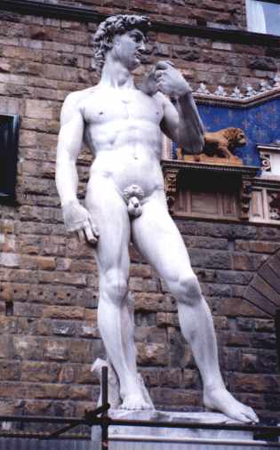 david.JPG (22851 bytes)