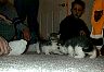DSC00005.JPG