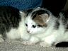 DSC00008.JPG