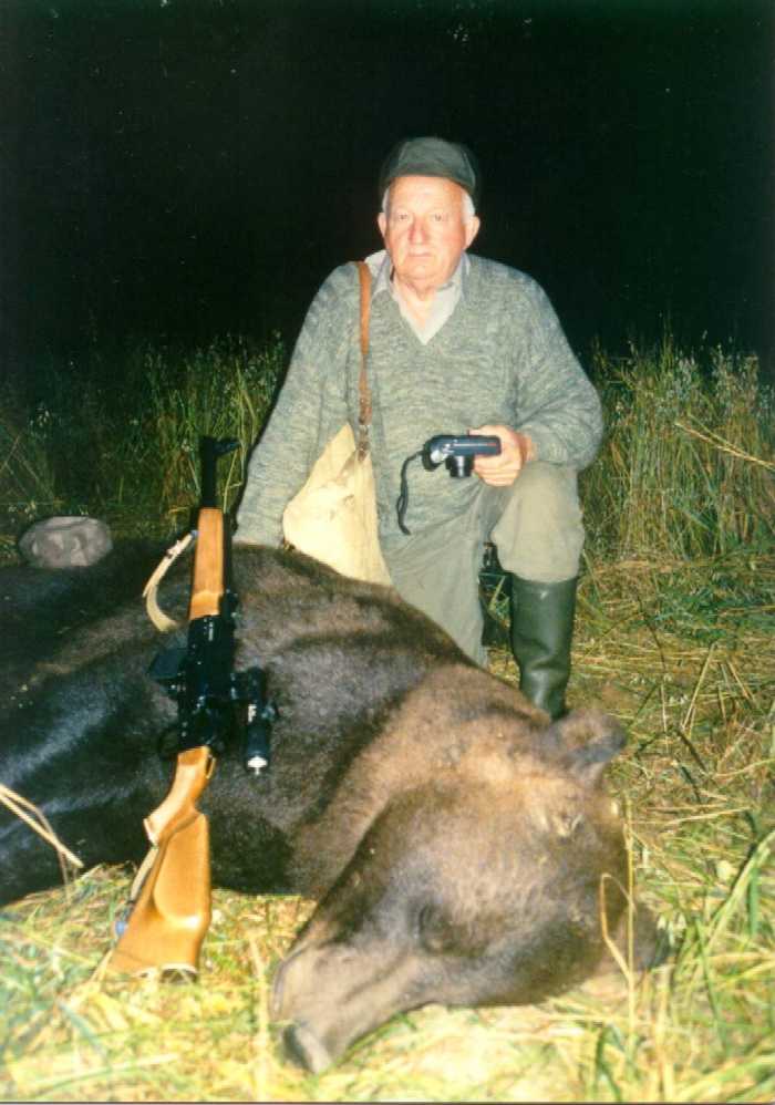 pig1.jpg (41303 bytes)