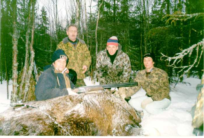 pig1.jpg (41303 bytes)