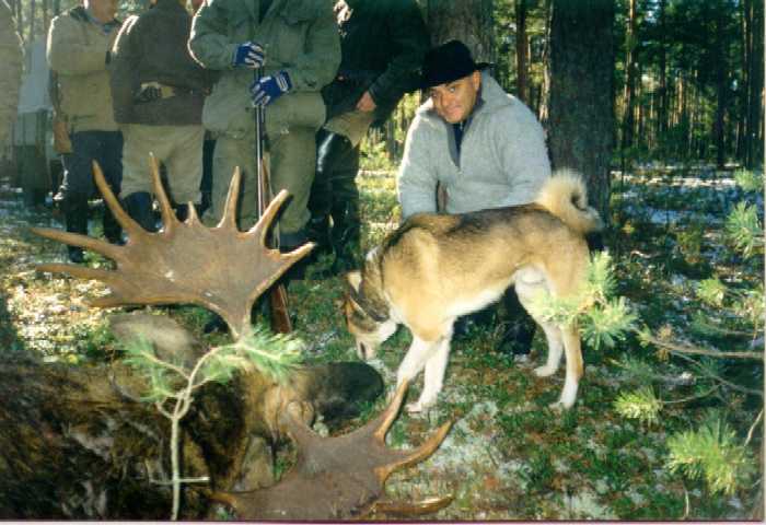 lamb1.jpg (41303 bytes)