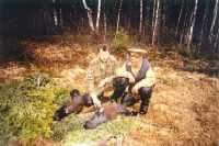 pcock2.jpg (5771 bytes)