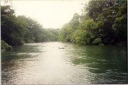 Mopan River /tubing-canoeing