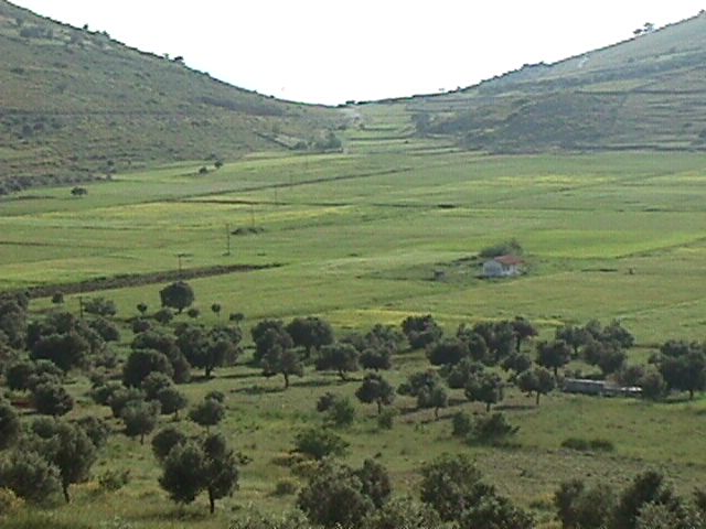 just across the valley