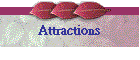 Attractions