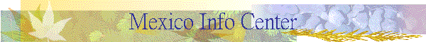 Mexico Info Center