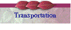 Transportation