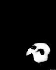 The Phantom of the Opera