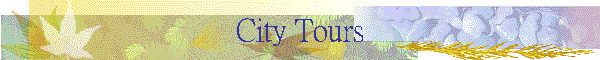 City Tours