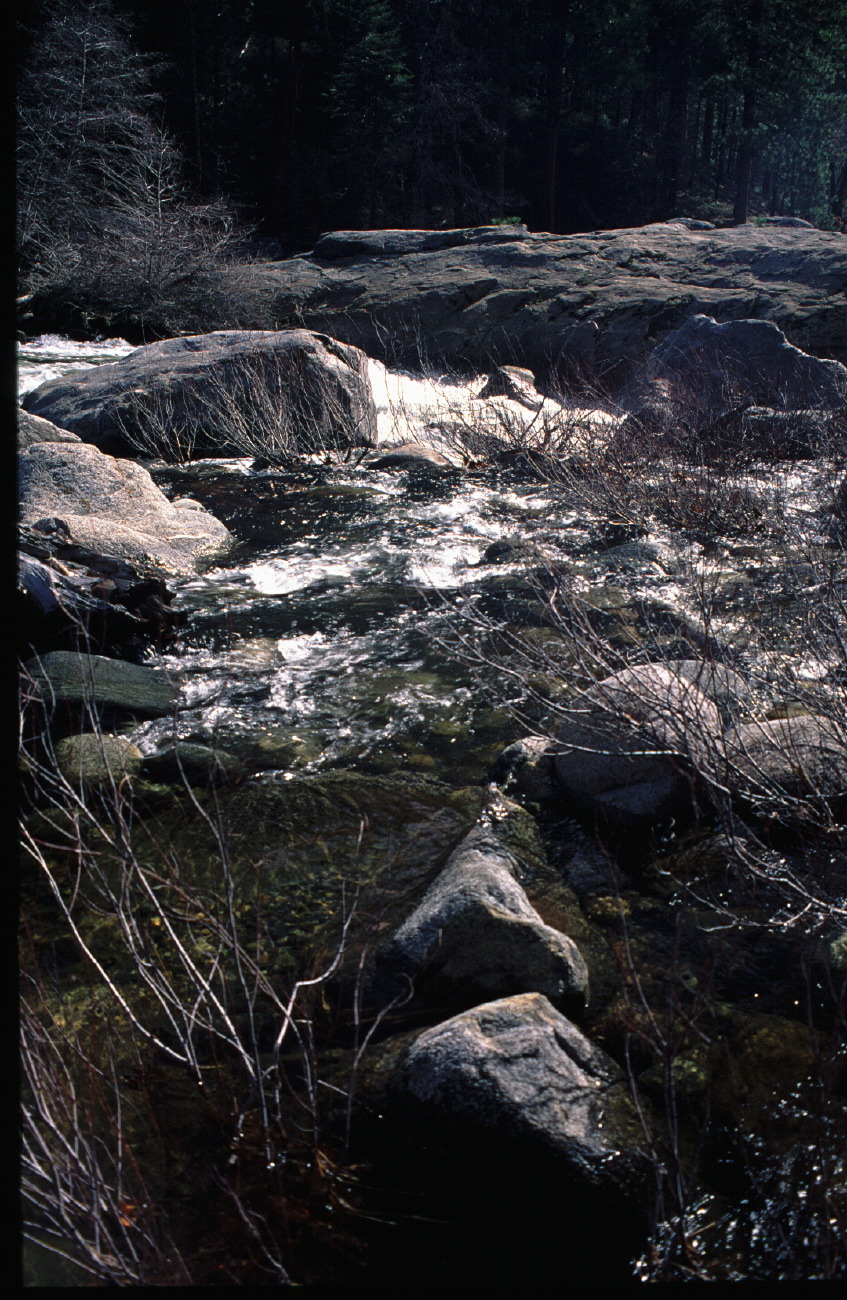 calmwater.jpg