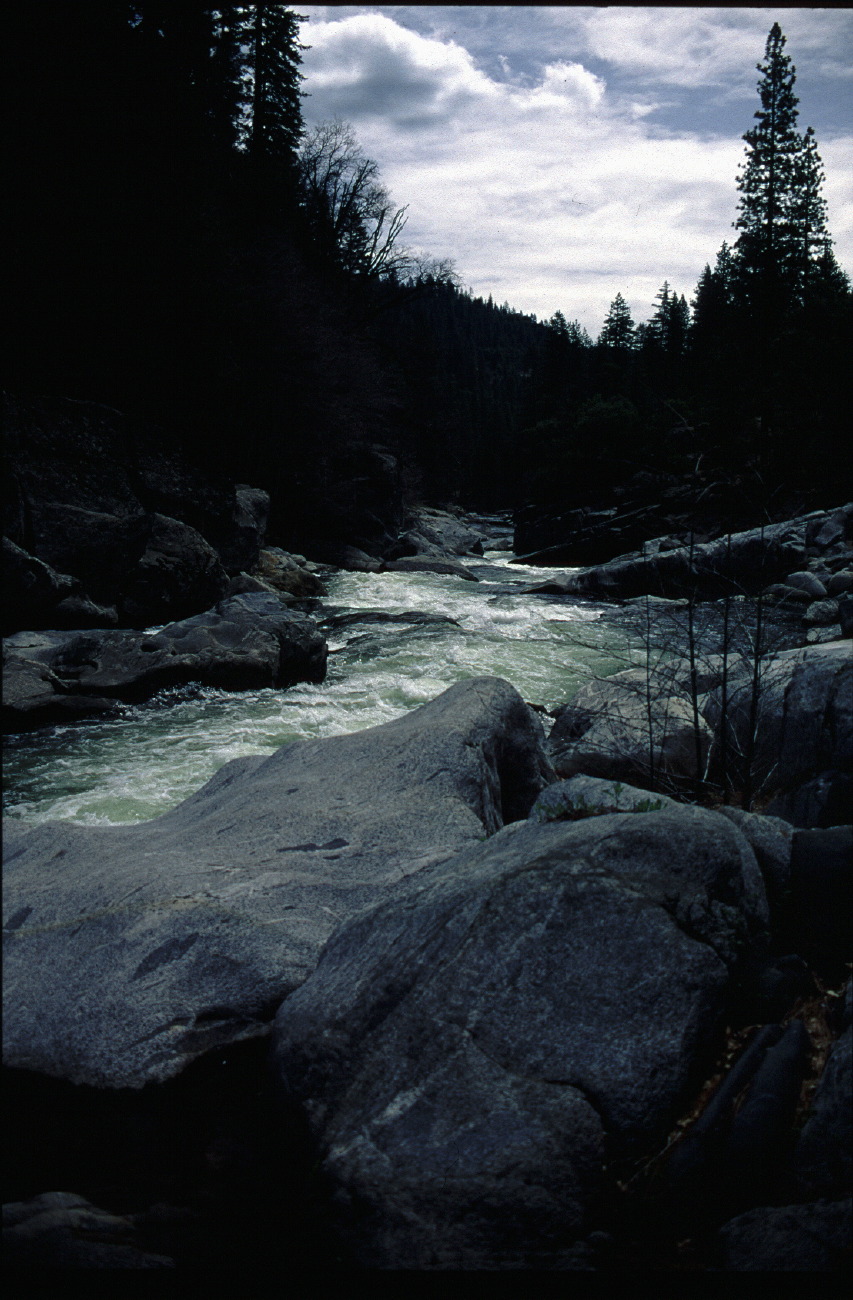 downriver.jpg