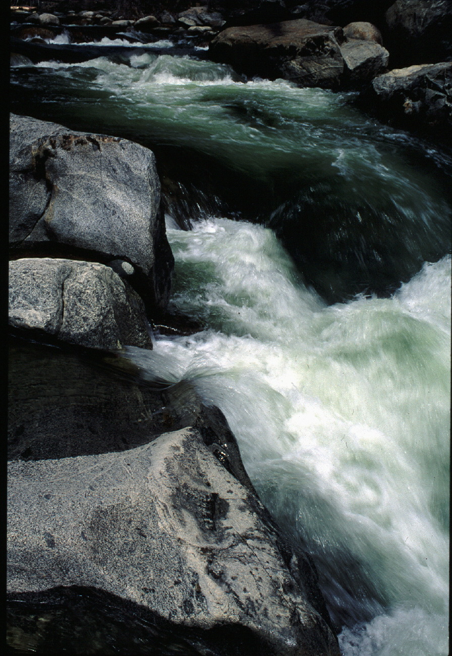 longwater.jpg