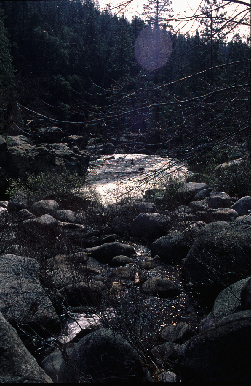 waterfliar.jpg