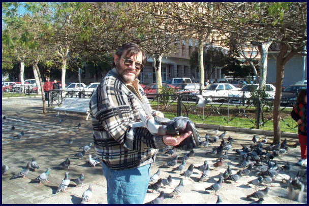 Pigeons in Cadiz