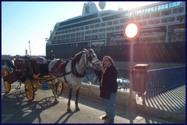 Dcp_0317.jpg (333119 bytes)