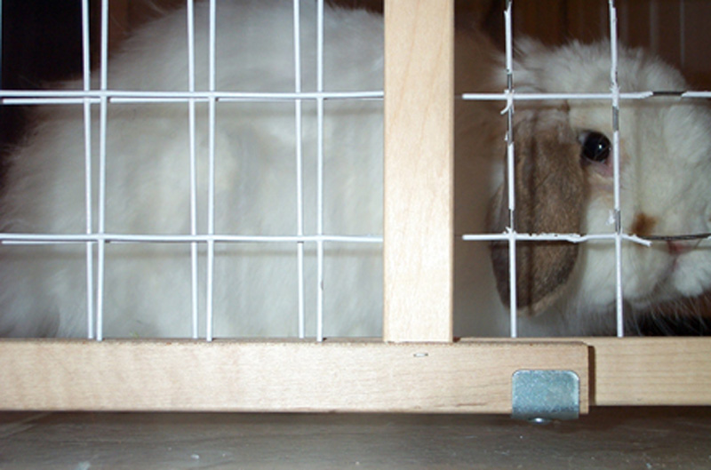 Caged