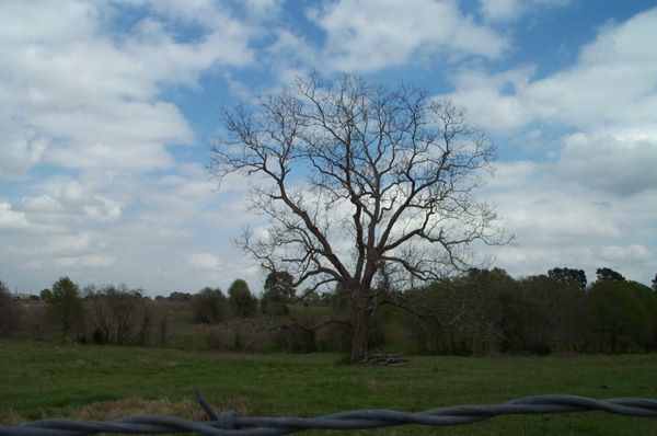 P1000468
