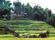 Click this Map to view the page on Sulawesi