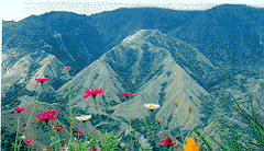 Buntukabobong view at PUNCAK LAKAWAN TOP HILL