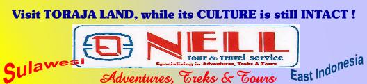 Click here to view OUR SPECIAL OFFER PACKAGE TOURS